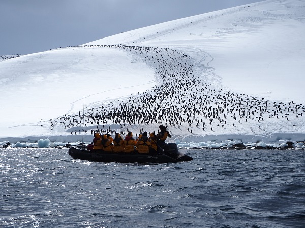 【お客様体験談】2023年11月南極探検クルーズ11日間