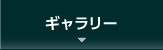 北極の魅力