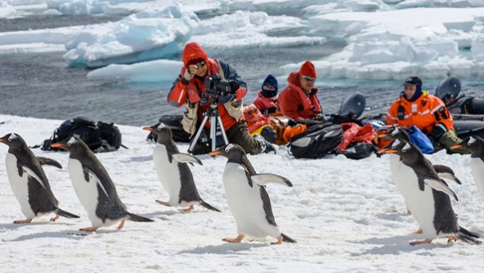 ゼンツーペンギン／南極観光＆南極ツアー