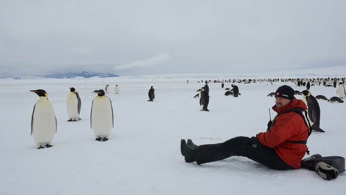 コウテイペンギン観察_南極旅行