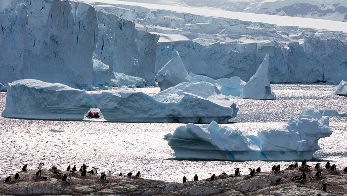 氷山／南極観光