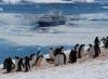 南極観光