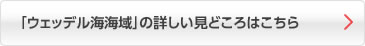 「ウェッデル海海域」の詳しい見どころはこちら