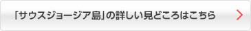 「サウスジョージア島」の詳しい見どころはこちら