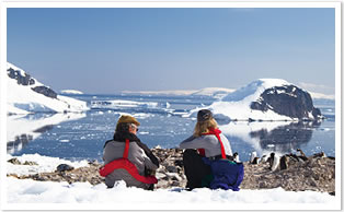 南極半島の風景