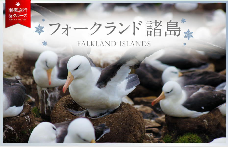 フォークランド諸島 | falkland Islands