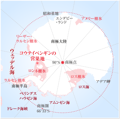 コウテイペンギンの営巣地を訪ねる旅 南極旅行 北極旅行のクルーズ ツアー 株 クルーズライフ