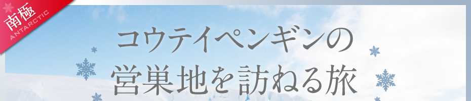 コウテイペンギンの営巣地を訪ねる旅