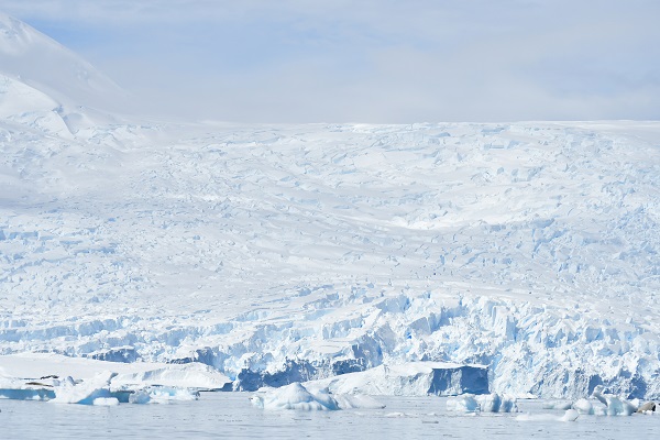 原始の世界 南極 南極旅行のクルーズ ツアー 観光専門店 株 クルーズライフ