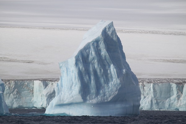 南極の氷山 氷河 海氷 南極旅行のクルーズ ツアー 観光専門店 株 クルーズライフ