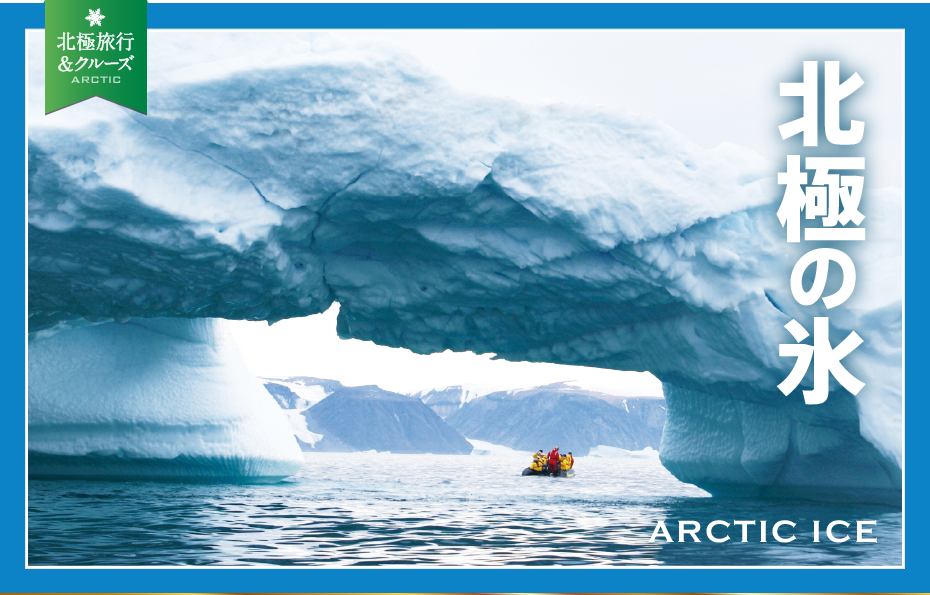 北極の氷 | ARCTIC ICE