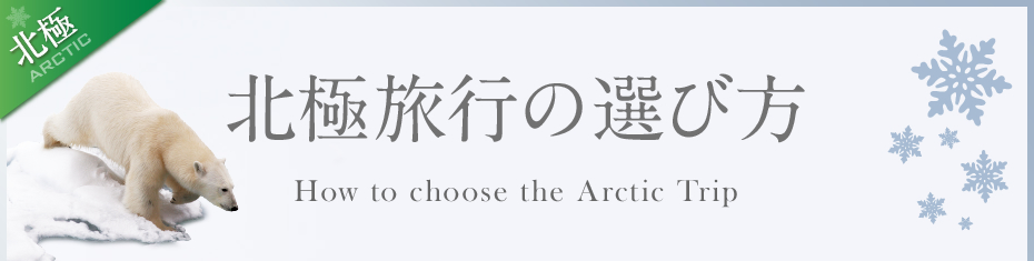 北極旅行の選び方