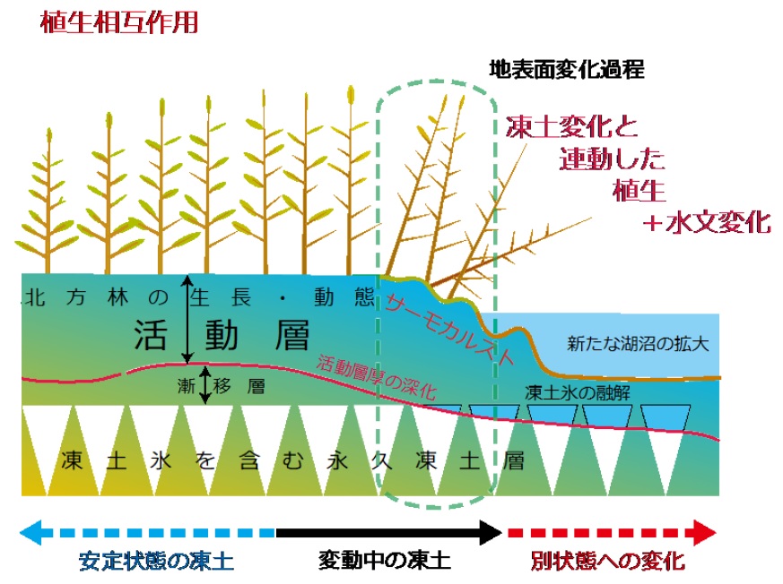 永久凍土とは 北極旅行のクルーズ ツアー 観光専門店 株 クルーズライフ
