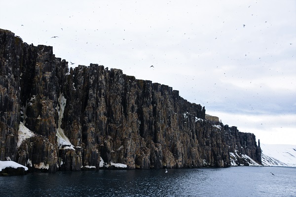 北東スヴァールバル自然保護区 北極旅行のクルーズ ツアー 観光専門店 株 クルーズライフ