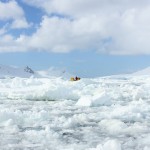 素晴らしい景色パラダイス湾