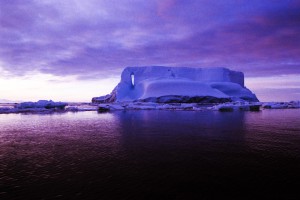 14年ぶりの南極旅行