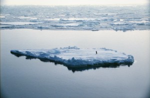 南極ロス海クルーズ