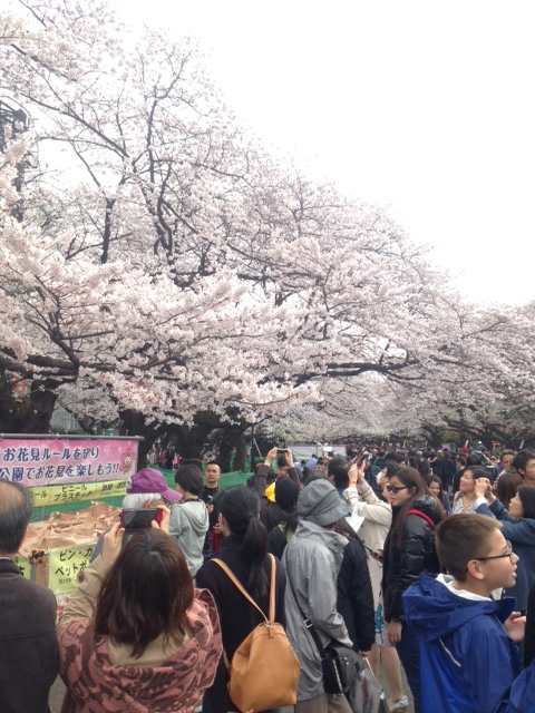 別れと出会いの季節