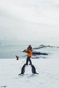 南極旅行