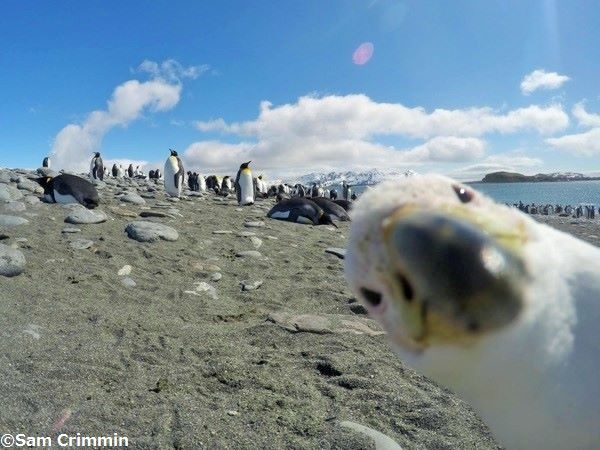 南極旅行