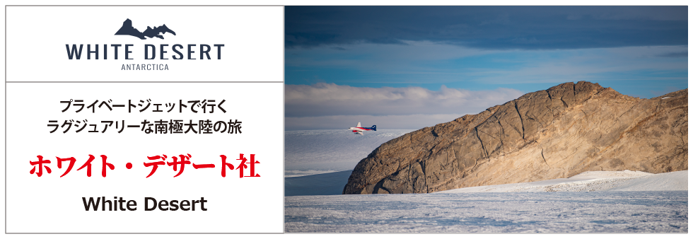プライベートジェットで行くラグジュアリーな南極大陸の旅