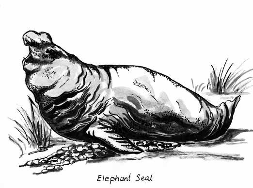 南極クルーズ 北極クルーズの手引き 南極旅行 北極旅行のクルーズ ツアー 株 クルーズライフ