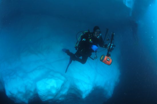 南極クルーズ・北極クルーズの手引き|南極旅行・北極旅行のクルーズ