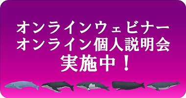 <center>オンラインウェビナー＆オンライン説明会</center>