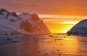 南極半島とサウスシェトランド諸島探検クルーズ12日間