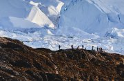 グリーンランドのディスコ湾探検クルーズ６日間