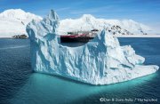 南極とフォークランド諸島探検クルーズ16日間