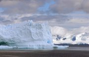 南極半島の深南部探検クルーズ22日間