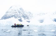 南極探検クルーズ12日間