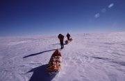 アムンセンの足跡を辿り アクセル・ ハイベルグ氷河からスキーで南極点に到達する旅