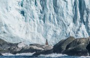 エレファント島、ウェッデル海、南極半島と南極圏探検クルーズ15日間