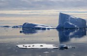南極圏とウィルキンス棚氷探検クルーズ16日間