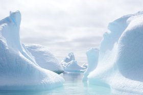 感動の南極と南極圏クルーズ