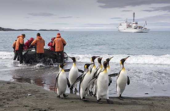 南極 ウェッデル海とフォークランド諸島探検クルーズ12日間 満席コース詳細 南極旅行 北極旅行のクルーズ ツアー 株 クルーズライフ 南極 ウェッデル海とフォークランド諸島探検クルーズ12日間 満席コース詳細 南極旅行 北極旅行のクルーズ ツアー 株 クルーズライフ