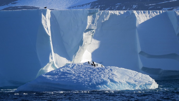 巨大な氷山／南極クルーズ