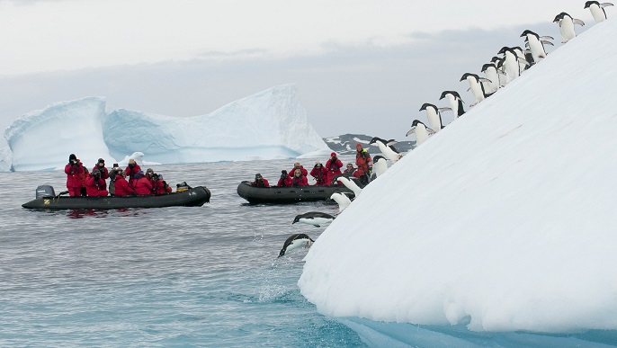 ゾディアッククルーズ／南極旅行
