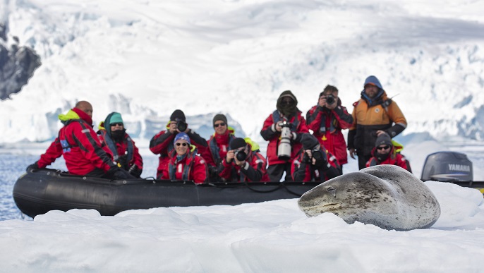 ヒョウアザラシ/南極観光