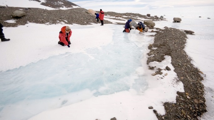 氷の見学／南極観光