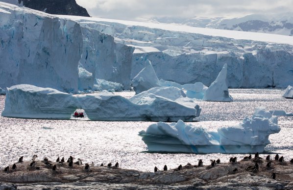 氷山／南極クルーズ＆南極旅行