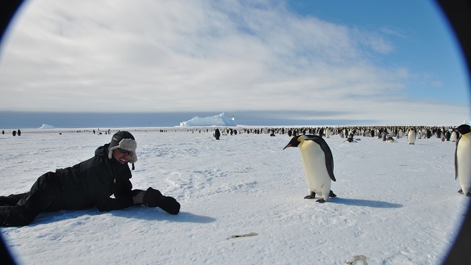 コウテイペンギンの営巣地見学／南極観光＆南極旅行