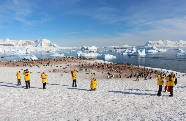 上陸の様子／南極観光＆南極クルーズ