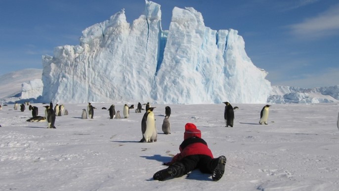 コウテイペンギン／南極旅行