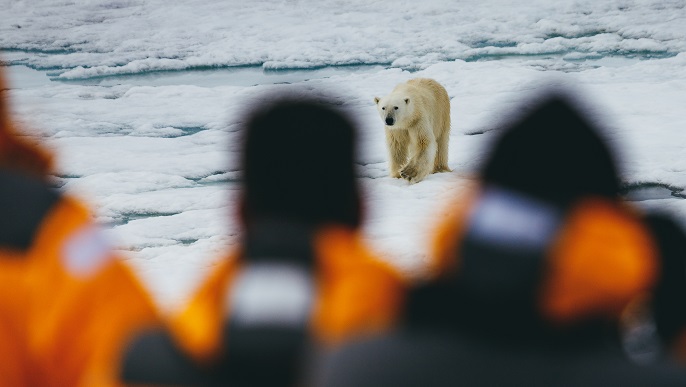 ホッキョクグマとの出会い／北極旅行