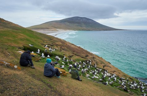 ポートモア岬 KZM正規代理店】KZM OUTDOOR ヴェンタサンシェード ventta sun shade