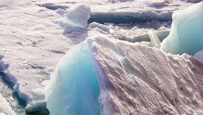 北極の氷／北極クルーズ