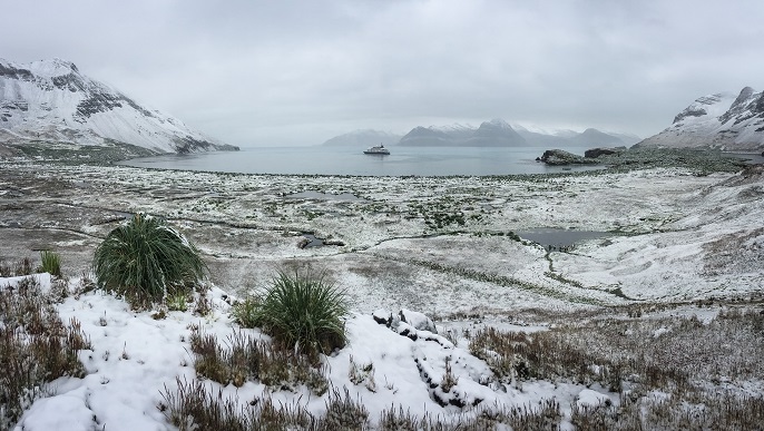 サウスジョージア島